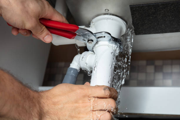 Best Mold removal after water damage  in Warm Springs, OR