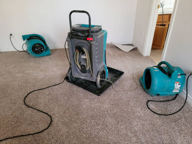 Best Fire Damage Restoration  in Warm Springs, OR