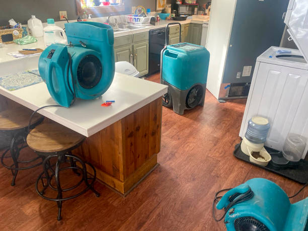 Best Local water damage restoration  in Warm Springs, OR