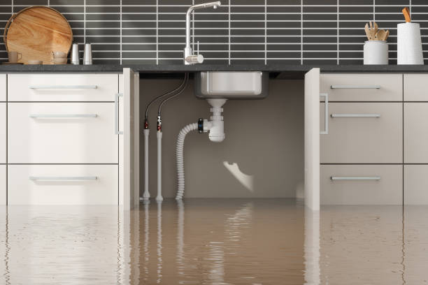  Warm Springs, OR Water damage restoration Pros