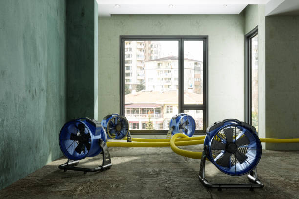 Best Carpet water damage restoration  in Warm Springs, OR