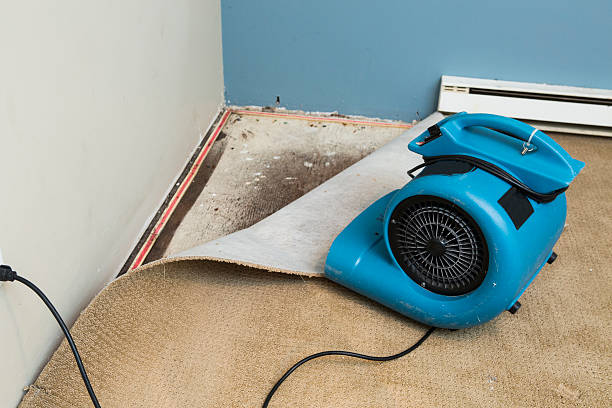 Best Water damage restoration near me  in Warm Springs, OR